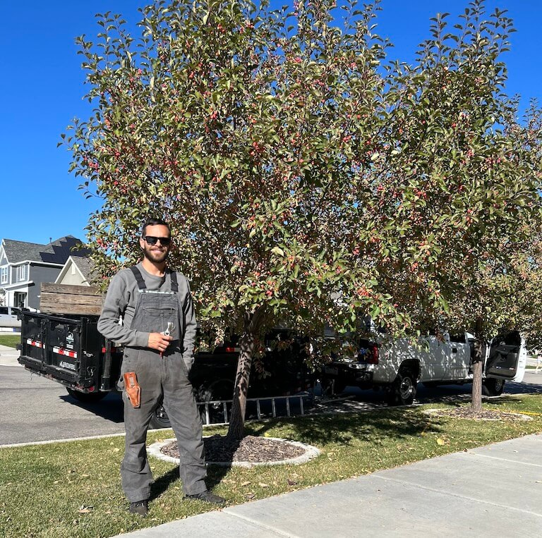 An arborist standing in front of two trimmed trees with a dump trailer in the background