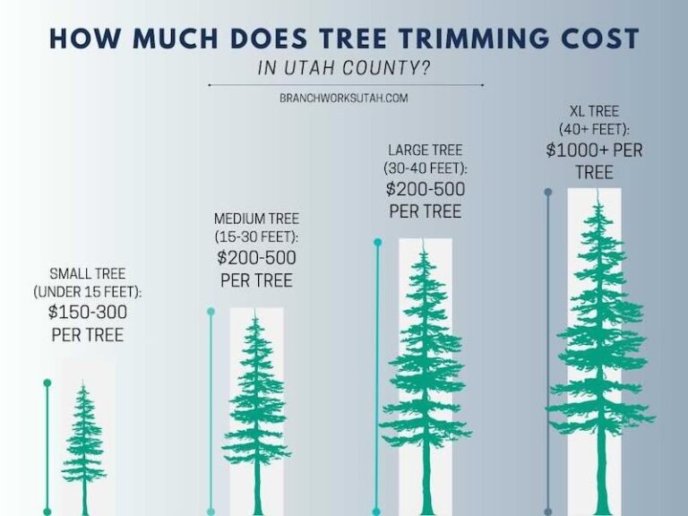 An infographic showing the cost of tree trimming by size of tree in Utah County, with an average cost of $200-500 per tree
